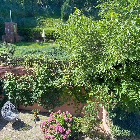 Urban Jungle Garden & Patio - Luksusowy W Gdyni Apartment Gdynia